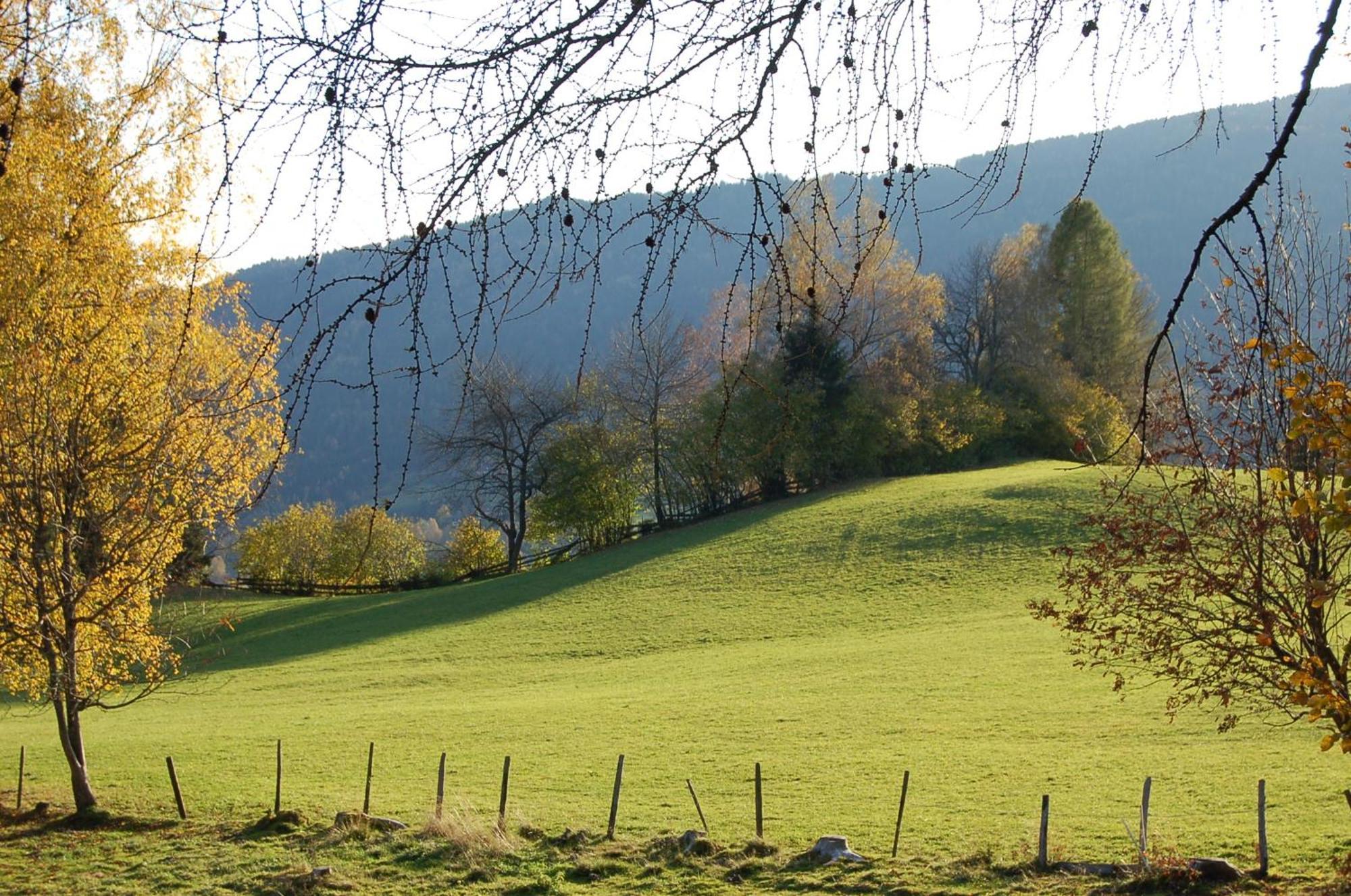 Walcherhof Arriach المظهر الخارجي الصورة