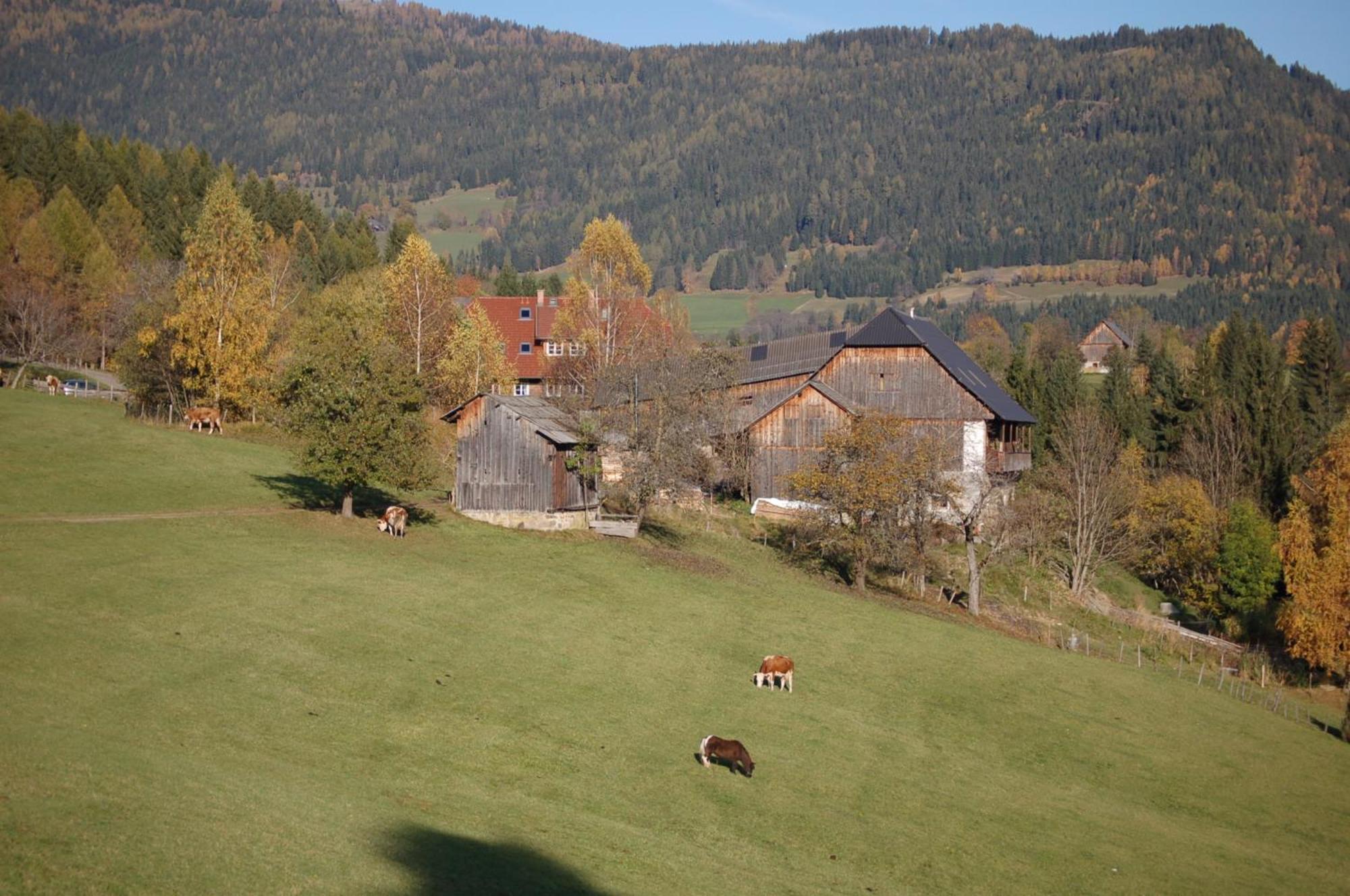 Walcherhof Arriach المظهر الخارجي الصورة