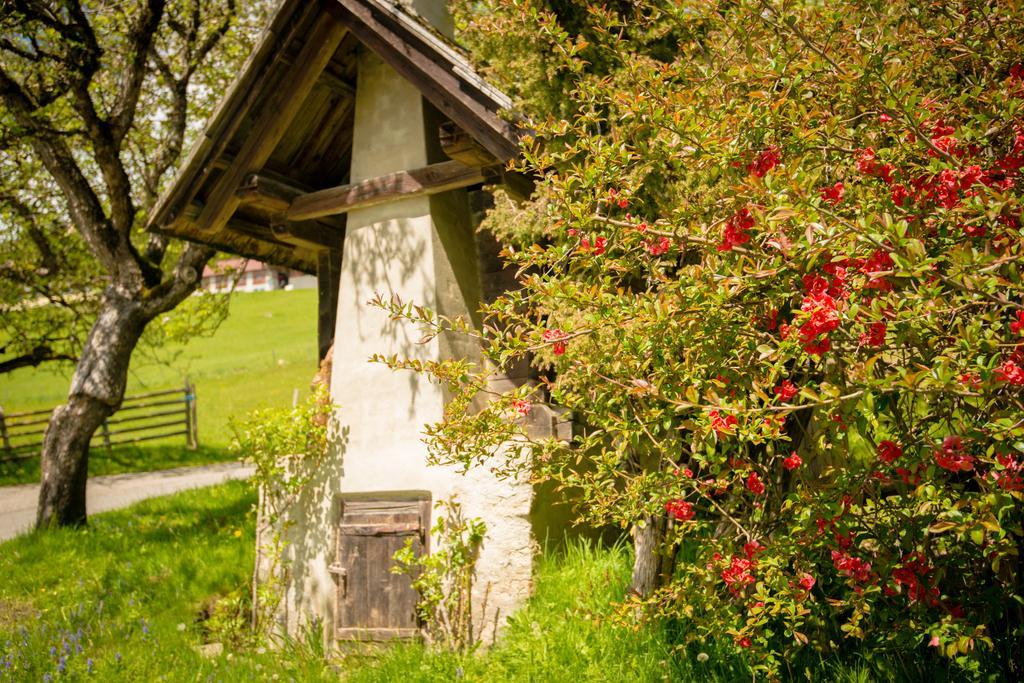 Walcherhof Arriach المظهر الخارجي الصورة